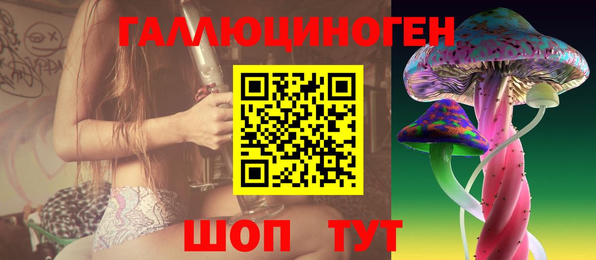Ногинск  Псилоцибиновые грибы прущие грибы  Вход с VPN  Псилоцибиновые грибы ЛСД 